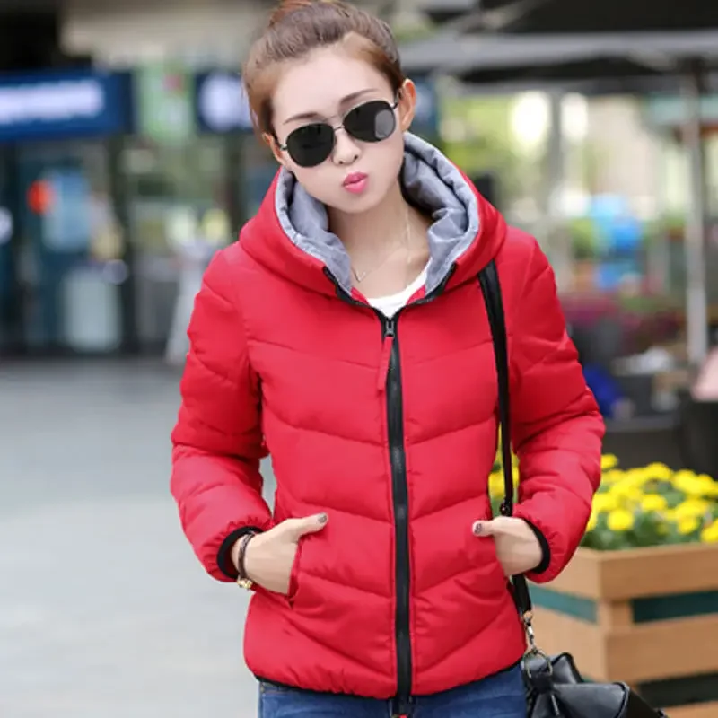سترة مبطنة بسحاب للنساء ، بطة  - مراجعة Modern Korean Lifestyle وسعره